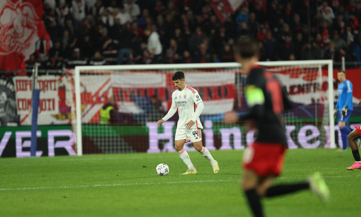 Champions League Final Tickets | Champions League Final 2025 Tickets