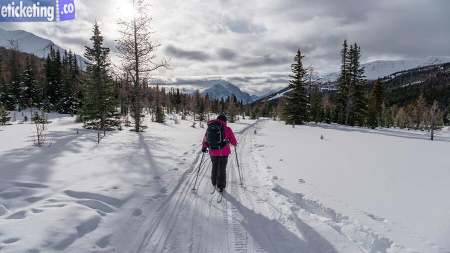 Milano Cortina 2026 Tickets | Winter Olympic 2026 Tickets | Olympic Cross Country Skiing Tickets | Winter Olympic Opening Ceremony Tickets