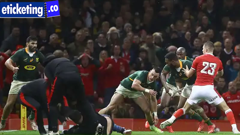 Autumn Internationals 2024 Tickets | Scotland vs South Africa Tickets | France vs Japan Tickets | Ireland Vs Scotland Tickets