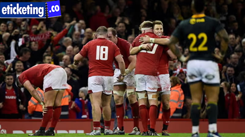 Autumn Internationals 2024 Tickets | Scotland vs South Africa Tickets | France vs Japan Tickets | Ireland Vs Scotland Tickets