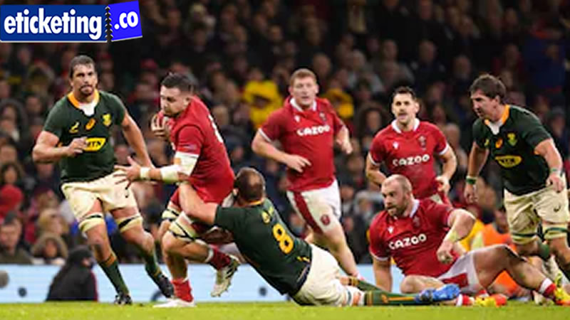 Autumn Internationals 2024 Tickets | Scotland vs South Africa Tickets | France vs Japan Tickets | Ireland Vs Scotland Tickets