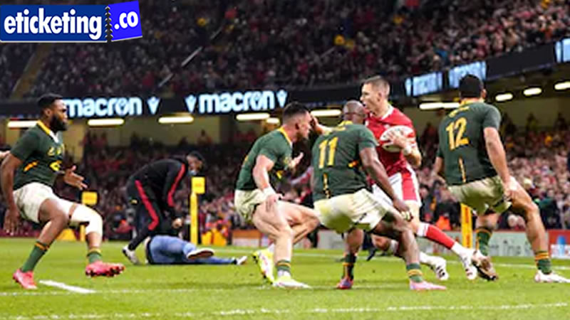 Autumn Internationals 2024 Tickets | Scotland vs South Africa Tickets | France vs Japan Tickets | Ireland Vs Scotland Tickets