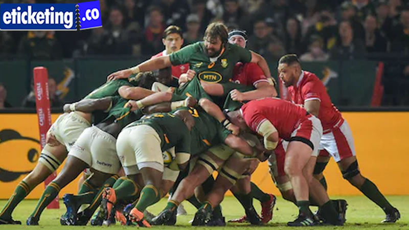 Autumn Internationals 2024 Tickets | Scotland vs South Africa Tickets | France vs Japan Tickets | Ireland Vs Scotland Tickets