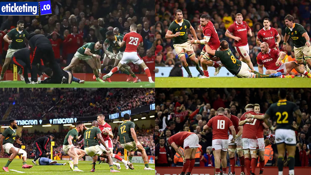 Autumn Internationals 2024 Tickets | Scotland vs South Africa Tickets | France vs Japan Tickets | Ireland Vs Scotland Tickets