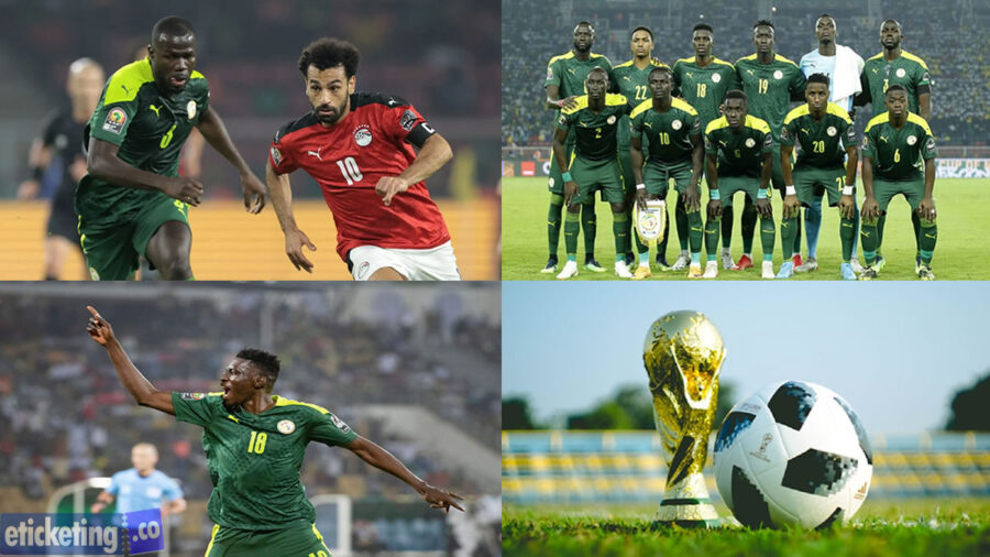 USA FIFA World Cup Tickets| Buy FIFA World Cup Tickets| Football World Cup Final Tickets