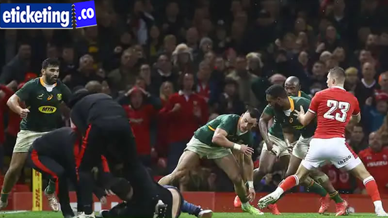 2024 Autumn Internationals Tickets | England Vs New Zealand Tickets | Scotland vs Fiji Tickets | Ireland vs New Zealand Tickets