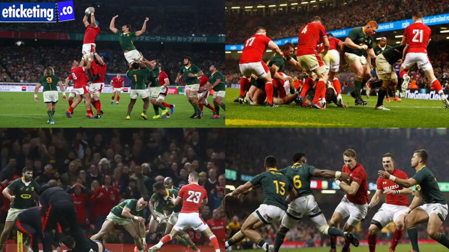 2024 Autumn Internationals Tickets | England Vs New Zealand Tickets | Scotland vs Fiji Tickets | Ireland vs New Zealand Tickets