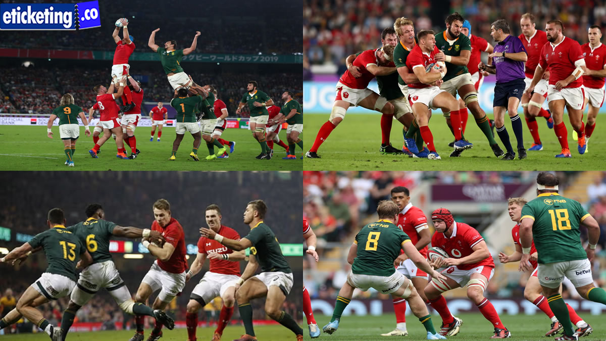 Autumn Internationals 2024 Tickets | Scotland vs South Africa Tickets | France vs Japan Tickets | Ireland Vs Scotland Tickets