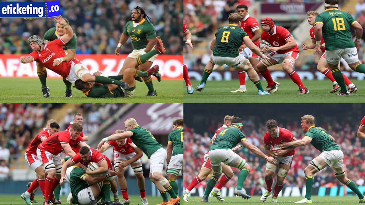 Autumn Internationals 2024 Tickets | Scotland vs South Africa Tickets | France vs Japan Tickets | Ireland Vs Scotland Tickets