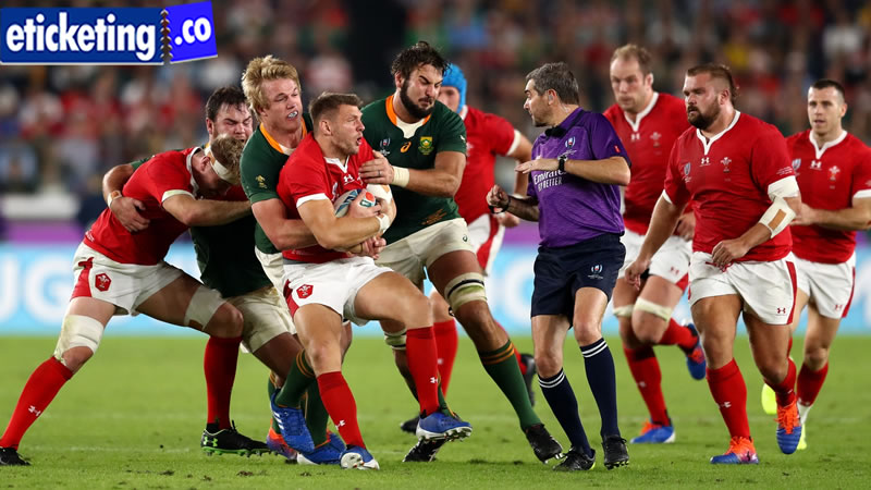 Autumn Internationals 2024 Tickets | Scotland vs South Africa Tickets | France vs Japan Tickets | Ireland Vs Scotland Tickets