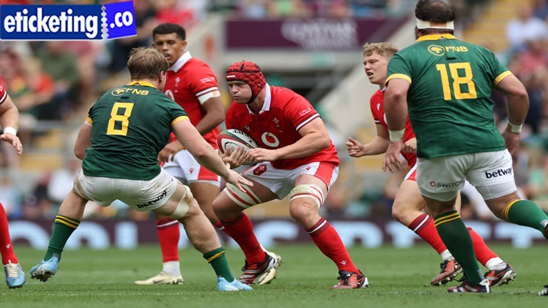 Autumn Internationals 2024 Tickets | Scotland vs South Africa Tickets | France vs Japan Tickets | Ireland Vs Scotland Tickets