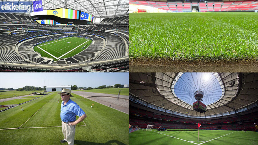 Buy World Cup Tickets | Football World Cup Tickets | FIFA World Cup Semi Final Tickets | FIFA World Cup Final Tickets