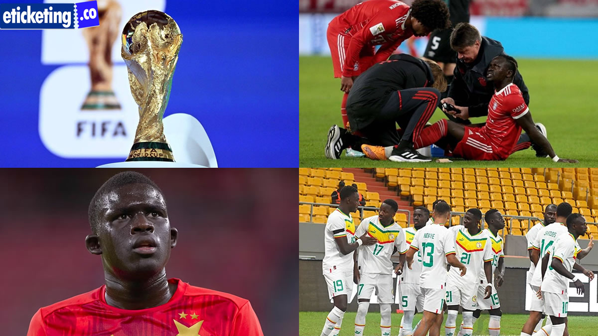 FIFA World Cup Tickets