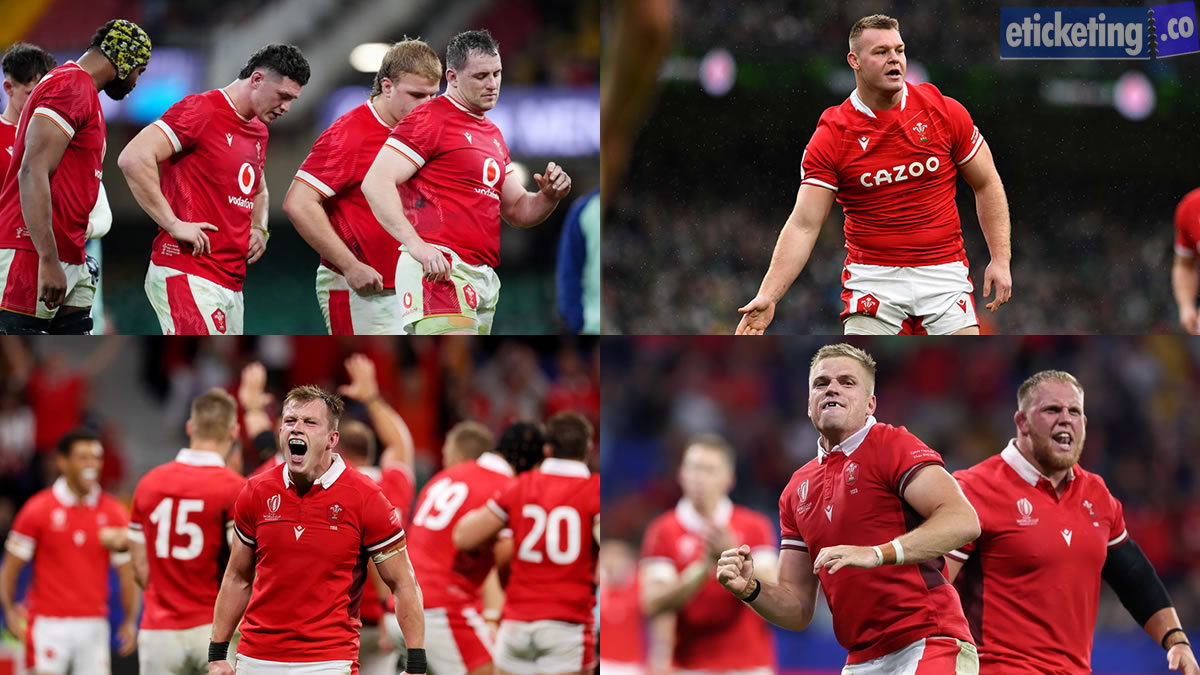 Autumn Internationals Tickets