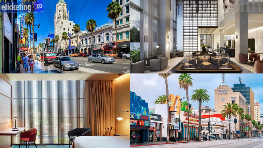 FIFA World Cup Hospitality | FIFA 2026 Hospitality | Football World Cup Hospitality | FIFA World Cup Hospitality Packages