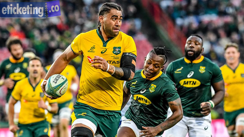 Best Lions Tour Wagers & Odds