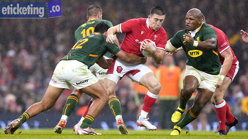 Wales Vs South Africa Tickets | Ireland Vs New Zealand Tickets