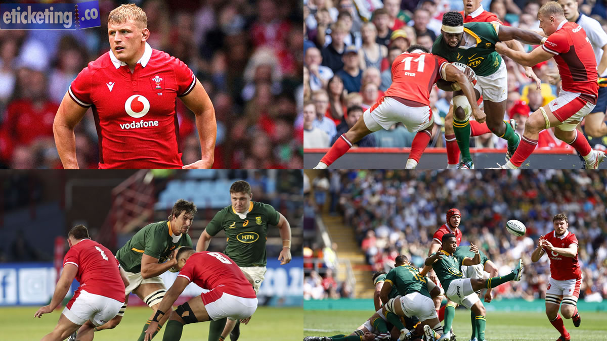 Autumn Internationals Tickets