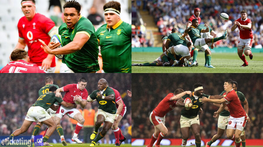 Autumn Internationals Tickets