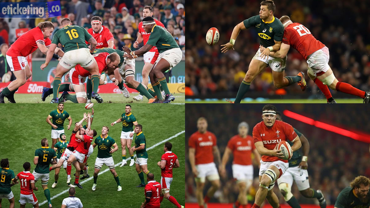 Autumn Internationals Tickets