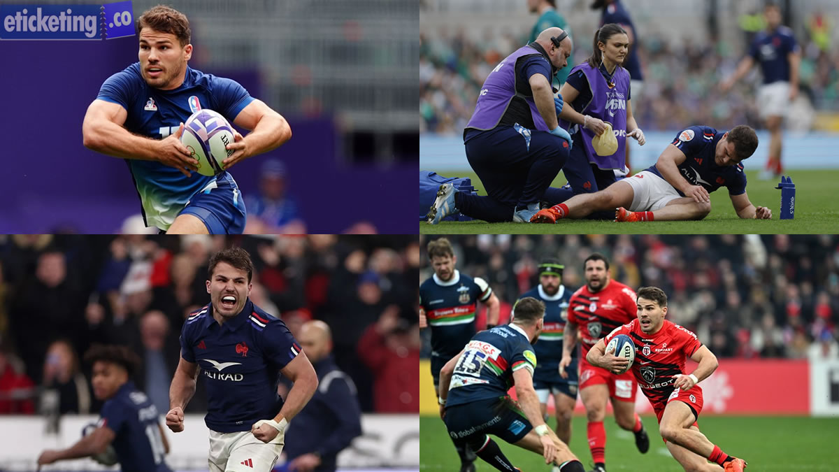 Autumn Internationals Tickets
