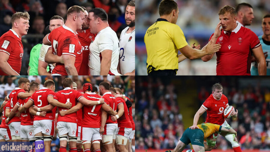 Autumn Internationals Tickets