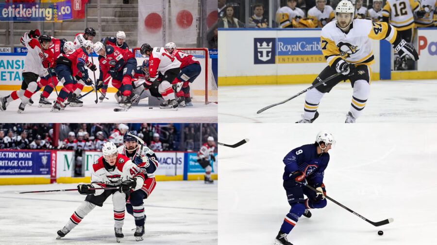 Winter Olympic Tickets | Winter Olympic 2026 Games Tickets