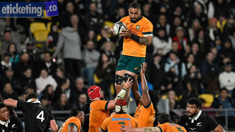 Wallabies Search for Direction