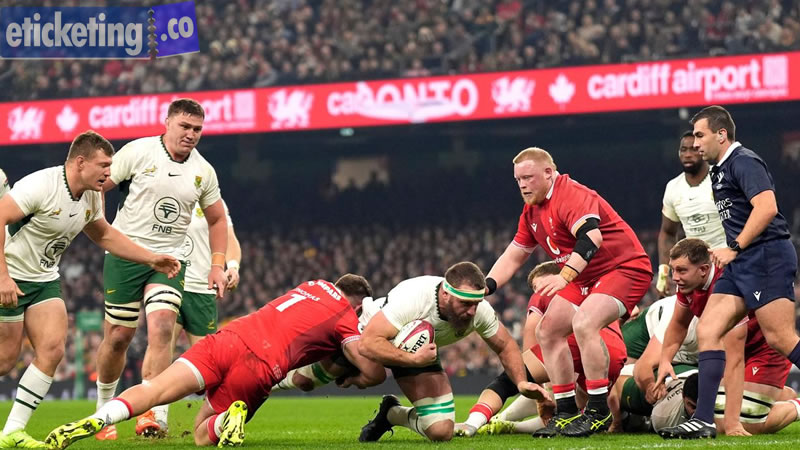 Rugby World Cup Final Tickets |  Australia Vs New Zealand Tickets