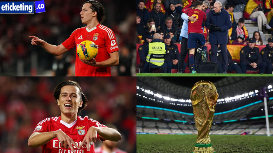 Spain vs Cabo Verde Tickets | Spain vs Saudi Arabia Tickets | Soccer World Cup Tickets