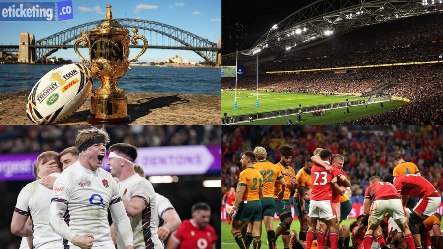 Rugby World Cup Final Tickets | South Africa Vs Italy Tickets