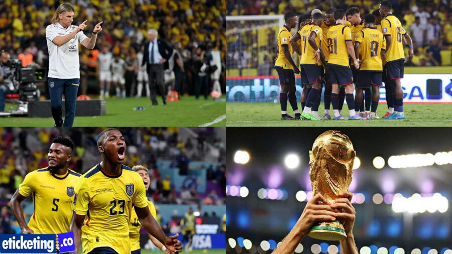 Ivory Coast vs Ecuador Tickets | Ecuador vs Germany Tickets | World Cup Tickets