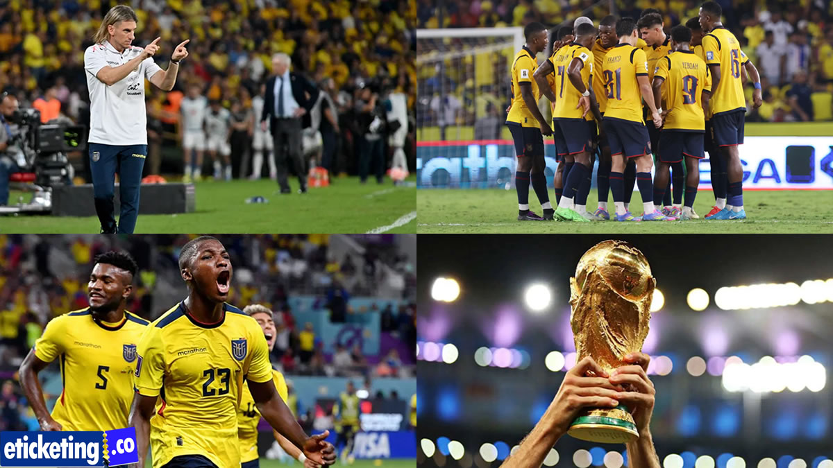 Ivory Coast vs Ecuador Tickets | Ecuador vs Germany Tickets | World Cup Tickets