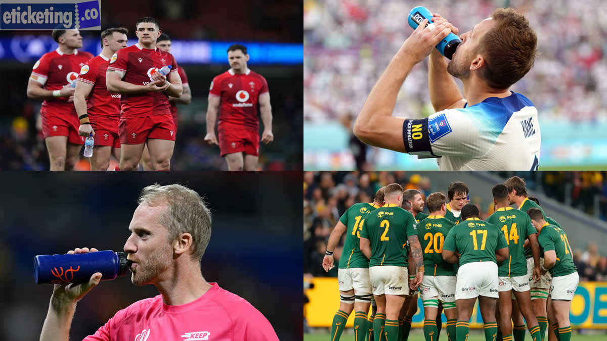 Rugby World Cup Tickets | Rugby World Cup 2027 Tickets | Rugby World Cup Final Tickets | New Zealand Vs Australia Rugby World Cup Tickets