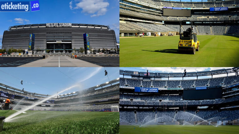 FIFA World Cup Final Tickets: FIFA Confident MetLife Stadium Pit